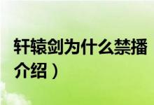 軒轅劍為什么禁播（關(guān)于軒轅劍為什么禁播的介紹）