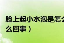 臉上起小水泡是怎么回事（臉上起小水泡是怎么回事）