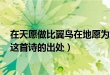 在天愿做比翼鳥在地愿為連理枝一詩寫的是哪個愛情故事（這首詩的出處）