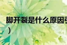 腳開裂是什么原因引起的（腳開裂是什么原因）