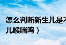 怎么判斷新生兒是不是拉肚子（怎么判斷新生兒喉喘鳴）