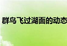 群鳥(niǎo)飛過(guò)湖面的動(dòng)態(tài)描寫(xiě)（這五句寫(xiě)得很好）
