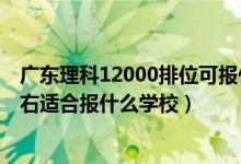 廣東理科12000排位可報什么學(xué)校（廣東高考位次70000左右適合報什么學(xué)校）