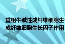 重組牛堿性成纖維細(xì)胞生長(zhǎng)因子滴眼液說(shuō)明書(重組牛堿性成纖維細(xì)胞生長(zhǎng)因子作用)