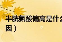 半胱氨酸偏高是什么原因（半胱氨酸偏高的原因）