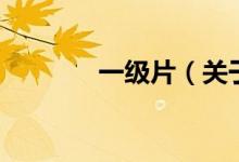 一級片（關(guān)于一級片的介紹）