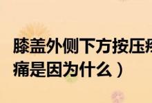 膝蓋外側(cè)下方按壓疼痛（膝蓋內(nèi)側(cè)下方按壓疼痛是因為什么）