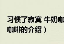習(xí)慣了寂寞 牛奶咖啡（關(guān)于習(xí)慣了寂寞 牛奶咖啡的介紹）