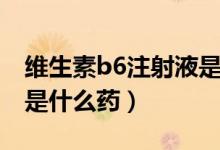維生素b6注射液是處方藥（維生素b6注射液是什么藥）