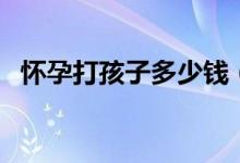 懷孕打孩子多少錢(打胎一般要花多少錢)