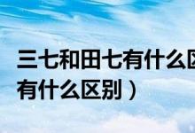 三七和田七有什么區(qū)別圖片欣賞（三七和田七有什么區(qū)別）