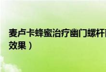 麥盧卡蜂蜜治療幽門螺桿菌（麥盧卡蜂蜜治療幽門螺桿菌的效果）
