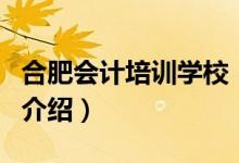 合肥會計(jì)培訓(xùn)學(xué)校（關(guān)于合肥會計(jì)培訓(xùn)學(xué)校的介紹）