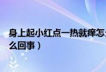 身上起小紅點一熱就癢怎么回事（天熱身上起小紅點還癢怎么回事）