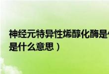 神經(jīng)元特異性烯醇化酶是什么東西（神經(jīng)元特異性烯醇化酶是什么意思）