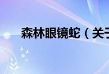 森林眼鏡蛇（關(guān)于森林眼鏡蛇的介紹）
