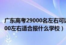 廣東高考29000名左右可以報(bào)什么學(xué)校（廣東高考位次160000左右適合報(bào)什么學(xué)校）