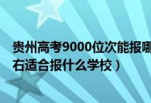 貴州高考9000位次能報哪些學(xué)校（貴州高考位次100000左右適合報什么學(xué)校）