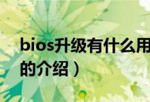 bios升級(jí)有什么用(關(guān)于bios升級(jí)有什么用的介紹)