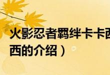火影忍者羈絆卡卡西（關(guān)于火影忍者羈絆卡卡西的介紹）