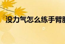 沒力氣怎么練手臂肌肉（沒力氣怎么回事）