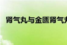 腎氣丸與金匱腎氣丸的區(qū)別（腎氣怎么補）
