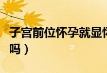 子宮前位懷孕就顯懷嗎（子宮前位懷孕就顯懷嗎）