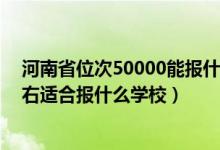 河南省位次50000能報什么院校（河南高考位次200000左右適合報什么學校）