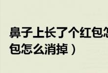 鼻子上長(zhǎng)了個(gè)紅包怎么回事（鼻子上長(zhǎng)了個(gè)紅包怎么消掉）
