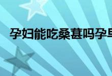 孕婦能吃桑葚嗎孕早期（孕婦能吃桑葚嗎）