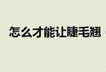 怎么才能讓睫毛翹（怎么才能讓睫毛變長(zhǎng)）