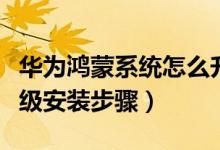 華為鴻蒙系統(tǒng)怎么升級安裝（華為鴻蒙系統(tǒng)升級安裝步驟）