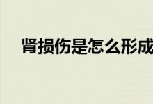腎損傷是怎么形成的（腎損傷是腎炎嗎）