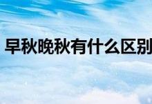 早秋晚秋有什么區(qū)別(早秋晚秋區(qū)別有哪些)