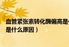 血管緊張素轉(zhuǎn)化酶偏高是什么意思（血管緊張素轉(zhuǎn)化酶偏高是什么原因）