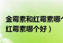 金霉素和紅霉素哪個治烏龜白眼?。ń鹈顾睾图t霉素哪個好）