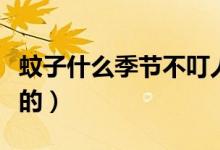 蚊子什么季節(jié)不叮人（咬人的是雄蚊子還是雌的）