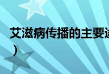 艾滋病傳播的主要途徑有哪些（傳播途徑介紹）