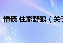 情債 住家野狼（關(guān)于情債 住家野狼的介紹）