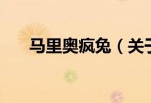 馬里奧瘋兔（關(guān)于馬里奧瘋兔的介紹）