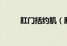肛門括約?。ǜ亻T括約肌在哪里）