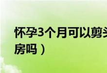 懷孕3個(gè)月可以剪頭發(fā)嗎（懷孕3個(gè)月可以同房嗎）