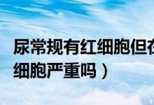 尿常規(guī)有紅細(xì)胞但在參考值以?xún)?nèi)（尿常規(guī)有紅細(xì)胞嚴(yán)重嗎）