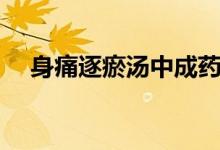 身痛逐瘀湯中成藥（身痛逐瘀湯怎么做）