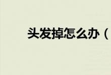 頭發(fā)掉怎么辦（頭發(fā)掉落該怎么辦）