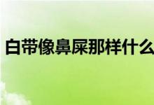 白帶像鼻屎那樣什么原因（白帶像鼻涕一樣）