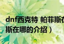 dnf西克特 帕菲斯在哪（關(guān)于dnf西克特 帕菲斯在哪的介紹）