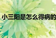 小三陽(yáng)是怎么得病的（小三陽(yáng)是怎么得來(lái)的）