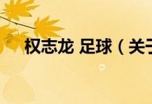 權(quán)志龍 足球（關(guān)于權(quán)志龍 足球的介紹）