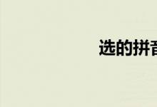 選的拼音（選組詞）